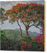 African Tulip Tree  #1 Wood Print