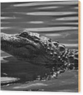 Alligator In Black And White Wood Print