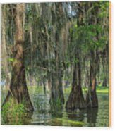 Bald Cypresses, Lake Martin, Louisiana Wood Print