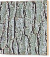 Bark Texture Wood Print
