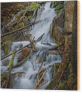 Basin Falls #1 Wood Print
