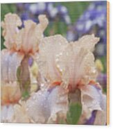 Beauty Of Irises - Ballerina Pirouette #1 Wood Print