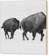 Bison In The Snow #1 Wood Print