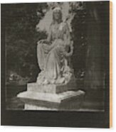 Black And White Polaroid 600 Spring Grove Cemetery Cincinnati Ohio  #1 Wood Print