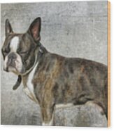 Boston Terrier Wood Print