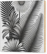 Botanical Palm Leaves Wood Print