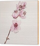 Cherry Blossoms  #1 Wood Print