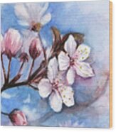 Cherry Blossoms #1 Wood Print