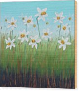 Daffodils Wood Print