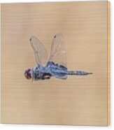 Dragon Fly Wood Print