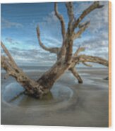 Driftwood Beach #1 Wood Print