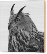 Eagle Owl Black And White #1 Wood Print