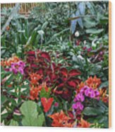Exotic Evergreen Plants In A Greenhouse  #1 Wood Print