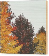 Fall Wood Print