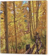 Fall Colors #1 Wood Print