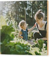 Family Harvesting Vegetables From Garden at Small Home Farm Wood Print