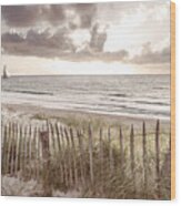 Fences On The Cottage Sand Dunes #1 Wood Print