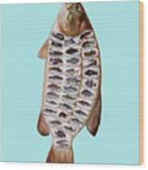 Fish Species #1 Wood Print