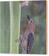 Gila Woodpecker 0547-051318-1cr #1 Wood Print