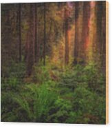 Hoh Rain Forest Wood Print
