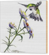 Hummingbird #1 Wood Print