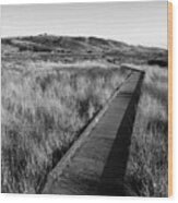 Kortum Trail Boardwalk #1 Wood Print