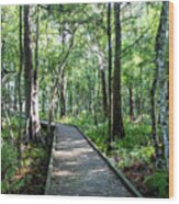 Lake Istokpoga Boardwalk Wood Print