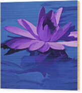 Lavender Blue Water Lily #1 Wood Print