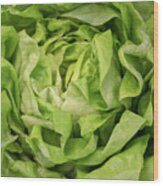 Lettuce #1 Wood Print