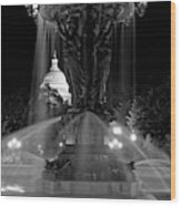 Light And Water Fountain - Bartholdi Park Washington Dc #1 Wood Print