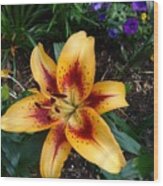 Lily #1 Wood Print