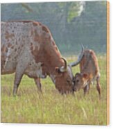 Longhorn Cow And Calf #1 Wood Print