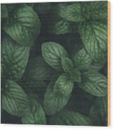 Mint Green Leaves Pattern Background #1 Wood Print