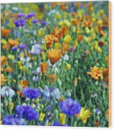 Mixed Colourful Wildflowers #1 Wood Print