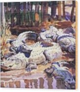 Muddy Alligators #2 Wood Print