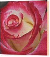 Multi-colored Rose Wood Print