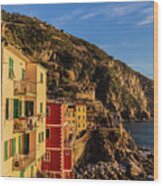 Panorama Of Riomaggiore #2 Wood Print