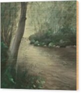 Path To Tranquility Wood Print
