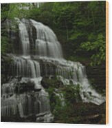 Pearson's Falls #1 Wood Print