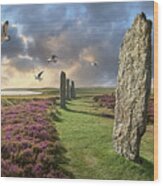 Ancient Stone - Photo Of The Ring Of Brodgar Stone Circle, Orkney #1 Wood Print