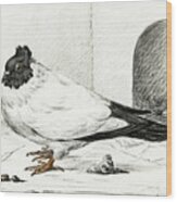 Pigeon And A Nest With An Egg  #1 Wood Print
