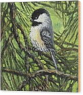 Pine Cone Chickadee #2 Wood Print