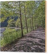 Pine Creek Trail #1 Wood Print