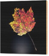 Preserving Autumn #1 Wood Print