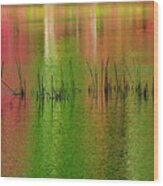 Red And Green Colors Reflection In Water #2 Wood Print
