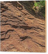 Red Rock Of Sedona #1 Wood Print