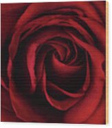Red Rose #1 Wood Print