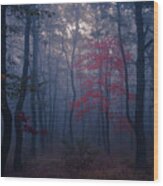 Red Tree Wood Print