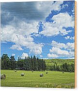 Hay Bales On Roadtrip Canada Wood Print