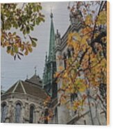 Saint-pierre Cathedral In Geneva, Switzerland, Hdr #1 Wood Print